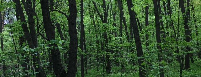 Хвалынский национальный парк is one of Саратовская губерния.