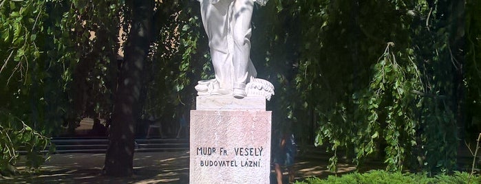 MUDr. František Veselý is one of Luhačovice.