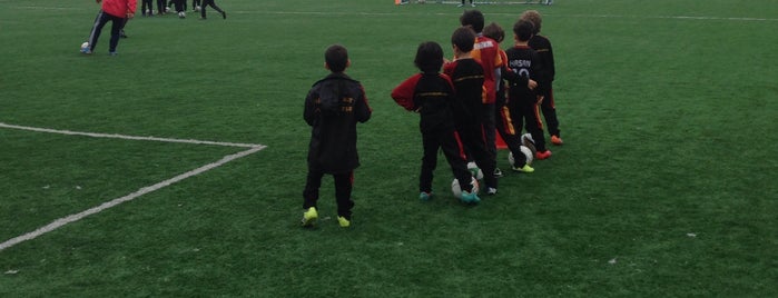 Adana Galatasaray Futbol Okulu is one of Asenaさんの保存済みスポット.