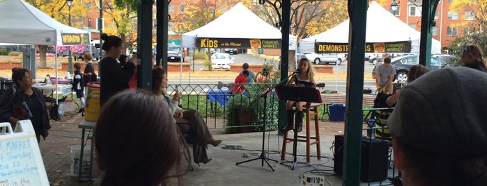 Webster Groves Farmers Market is one of Shopping.