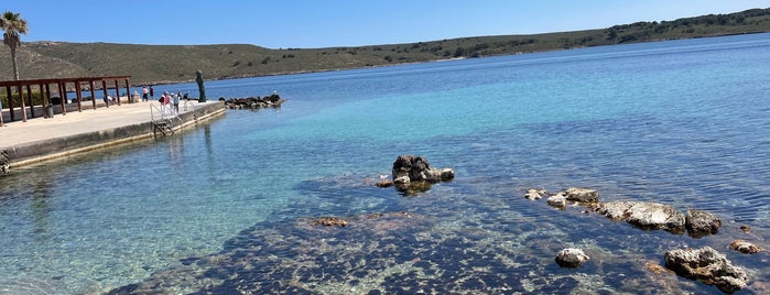 Port de Fornells is one of Minorque.