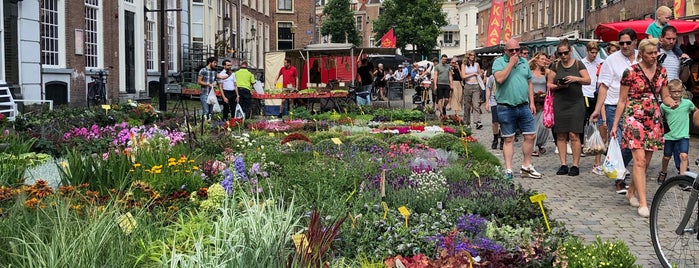 Groenmarkt is one of Zutphen.