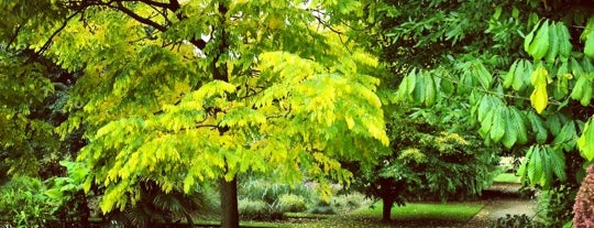 University of Oxford Botanic Garden is one of Tempat yang Disukai Alexander.