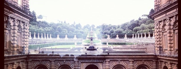 Palazzo Pitti is one of Firenze.