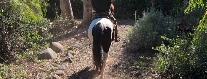 Santa Barbara Beach Horseback Rides is one of Los Angeles.