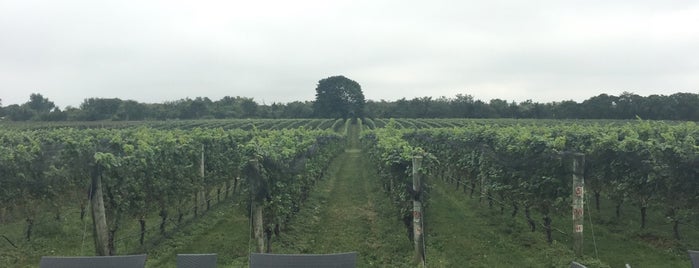 Sparkling Pointe Vineyards is one of Long Island (North Fork & Hamptons).