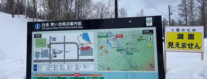 Blue Pond - Car Park is one of Hokkaido!.
