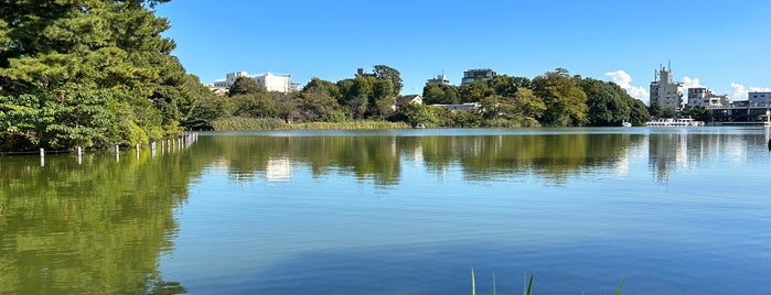 Senzokuike Park is one of Lugares favoritos de 西院.