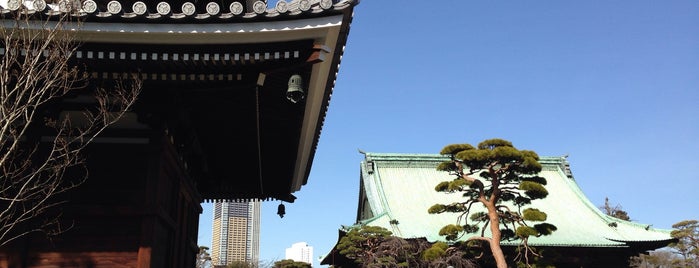 Gokoku-ji Temple is one of 多宝塔 / Two Storied Pagoda in Japan.