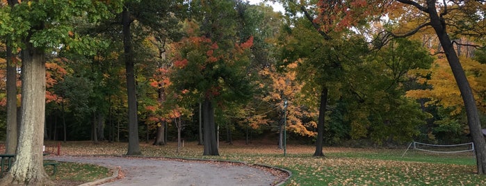 Dogwood Park is one of James Trip.