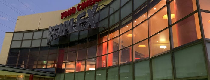 TOHO Cinemas is one of 劇場あんぎゃ！.