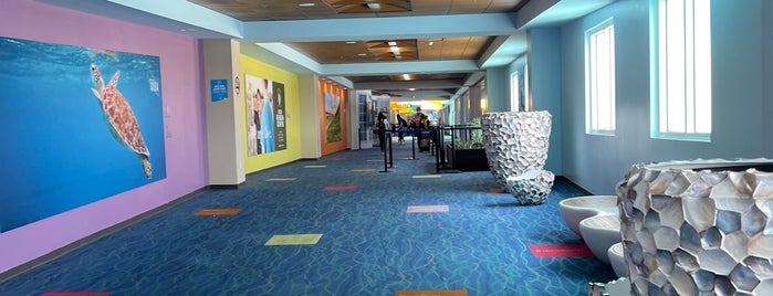 Queen Beatrix International Airport (AUA) is one of Lugares que pretendo retornar.
