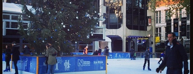 Natural History Museum Ice Rink