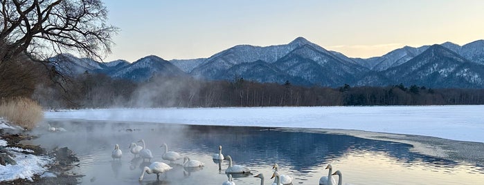 コタン温泉 is one of Hot spring.