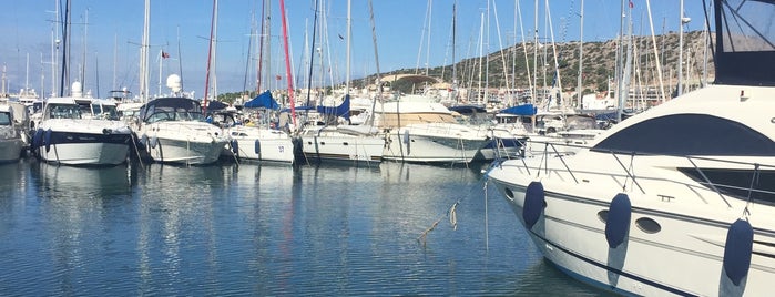 Marinada is one of Best Of CESME.