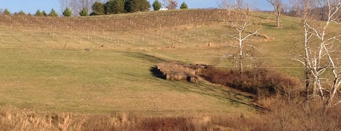 Lexington Valley Vineyards is one of Virginia attractions.