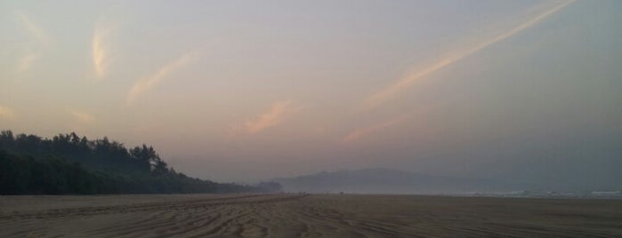 Diveagar Beach is one of Marvelous Maharashtra.