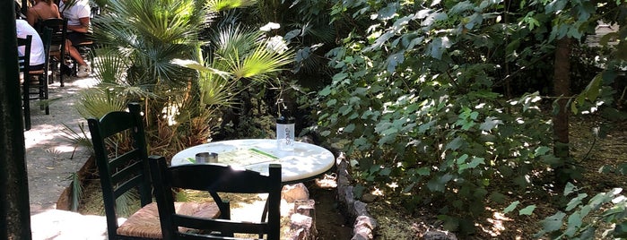Καφενείο «Εθνικός Κήπος» is one of Cool Spots!.