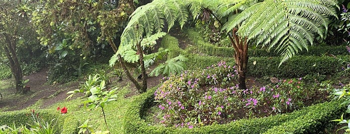 Hummingbird Garden is one of Pura Vida.