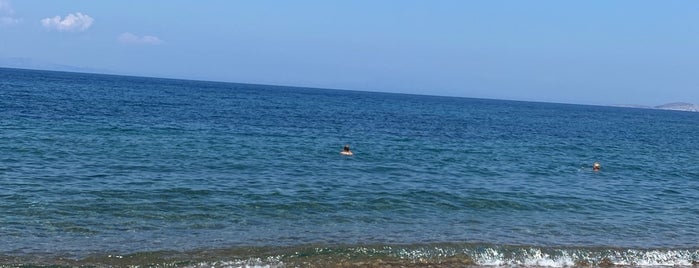 Lampi Beach is one of Yunan Adalari Çesme Bodrum arasi.