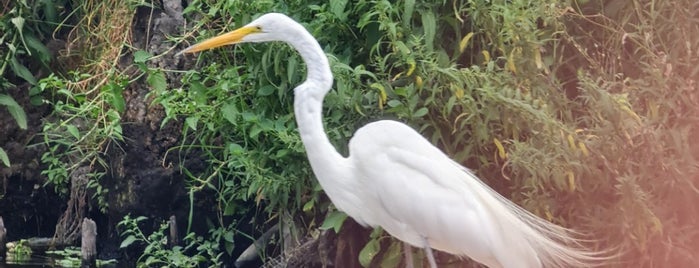 Antiguo Embarcadero Xochimilco is one of Favorite Great Outdoors.