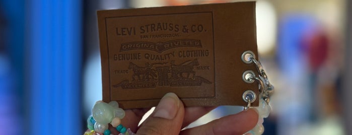 Levi's Store is one of Clothing.