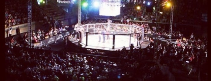 Coliseu Extreme Fight - MMA is one of Lazer & outros.
