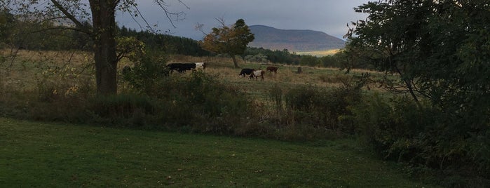 Hull-O-Farms is one of Upstate Fall.