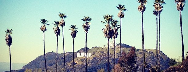 Mt. Hollywood Hiking Trail is one of Hiking.