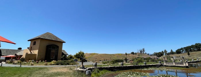 Nicholson Ranch Winery is one of Napa Valley - wine.