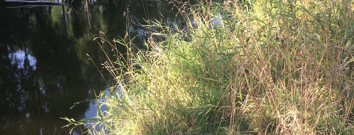 Bovenschelde (De Schelde) is one of Heerenschip.