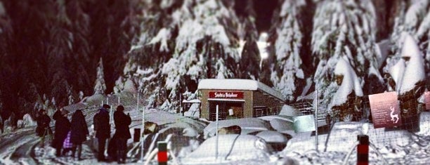 Grouse Mountain is one of Vancouver BC.