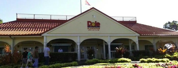 Dole Plantation is one of Eric's Oahu Favorites.