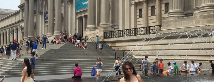 The Metropolitan Museum of Art is one of NY.