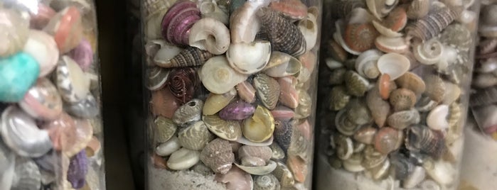 Sea Shell City is one of Beach Trip 2019.