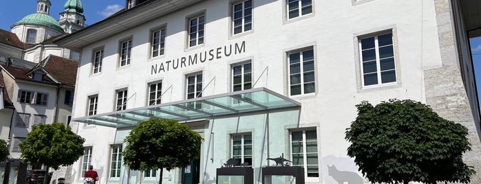 Naturhistorisches Museum is one of Basel.