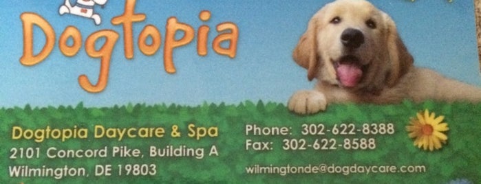 Dogtopia is one of Places I regularly go to in Wilmington DE.