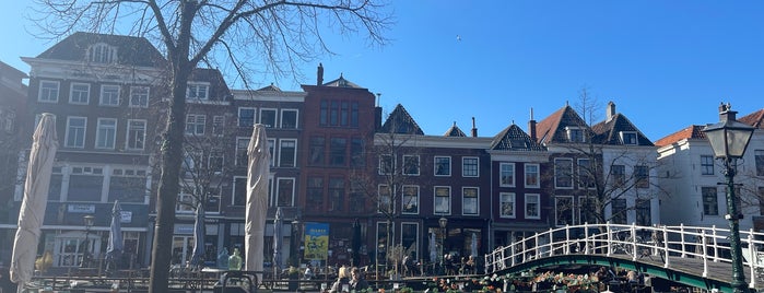 Aan de Rijn is one of Leiden.