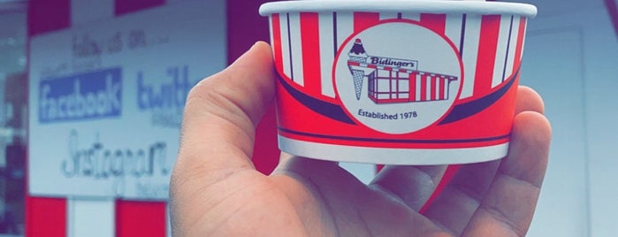 Bidinger's Ice Cream is one of fast food.