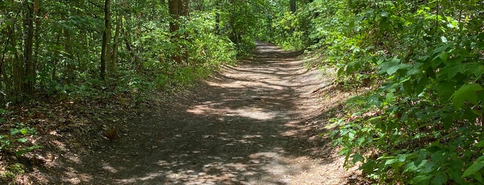 Kingfisher Trail is one of Virginia Beach, VA.