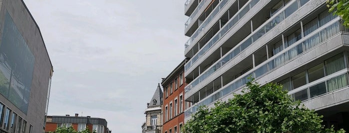 Place des Carmes is one of Promenades.