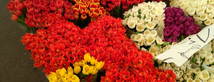 Blumenhändler am Marktplatz is one of Karlsruhe & around: Shops & services.