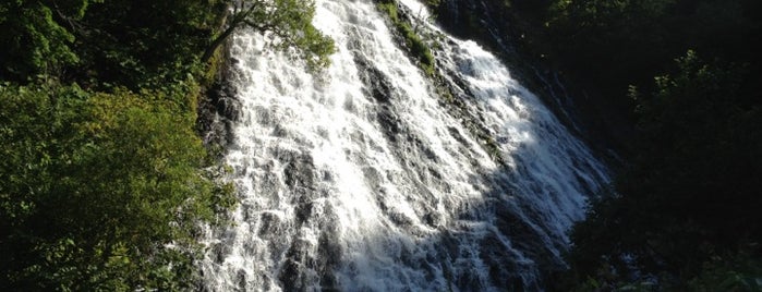 Oshinkoshin Falls is one of 日本の滝百選.