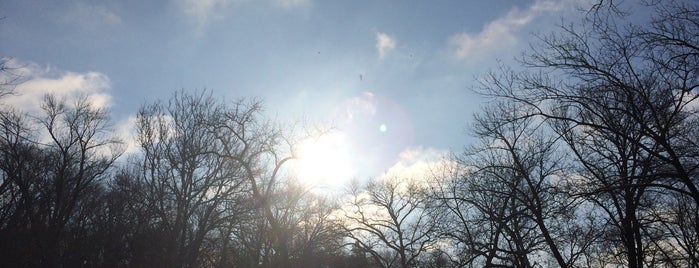 Brandywine Park is one of Places for Photoshoots.