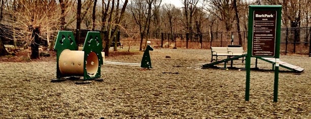 South Mountain Dog Park is one of Andrew : понравившиеся места.