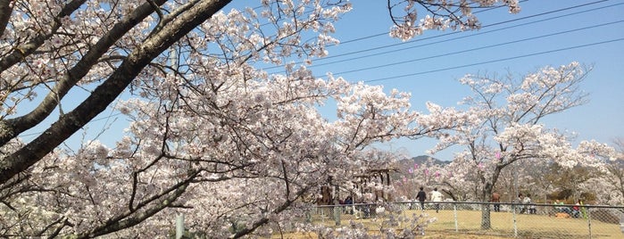 西山公園 is one of 茨城県 / Ibaraki.