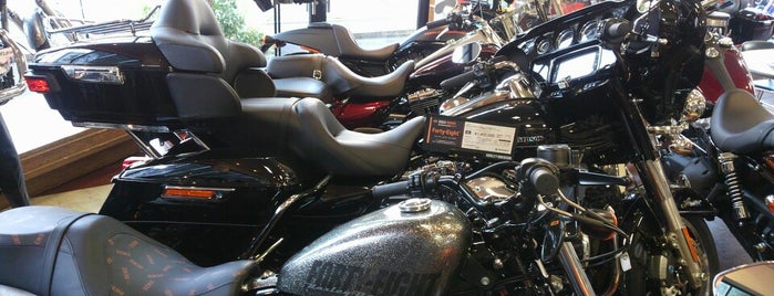 Harley-Davidson is one of Local- 三鷹・調布.
