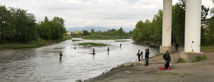 Kings Landing at Ship Creek is one of Alaska.