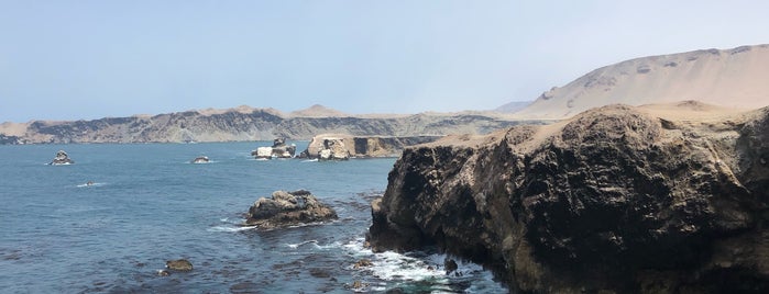 Reserva Bahía de San Francisco is one of Gianluca'nın Beğendiği Mekanlar.