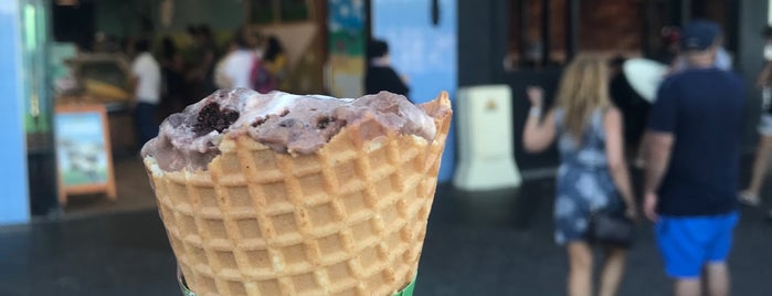 Ben & Jerry's is one of Dila's Saved Places.
